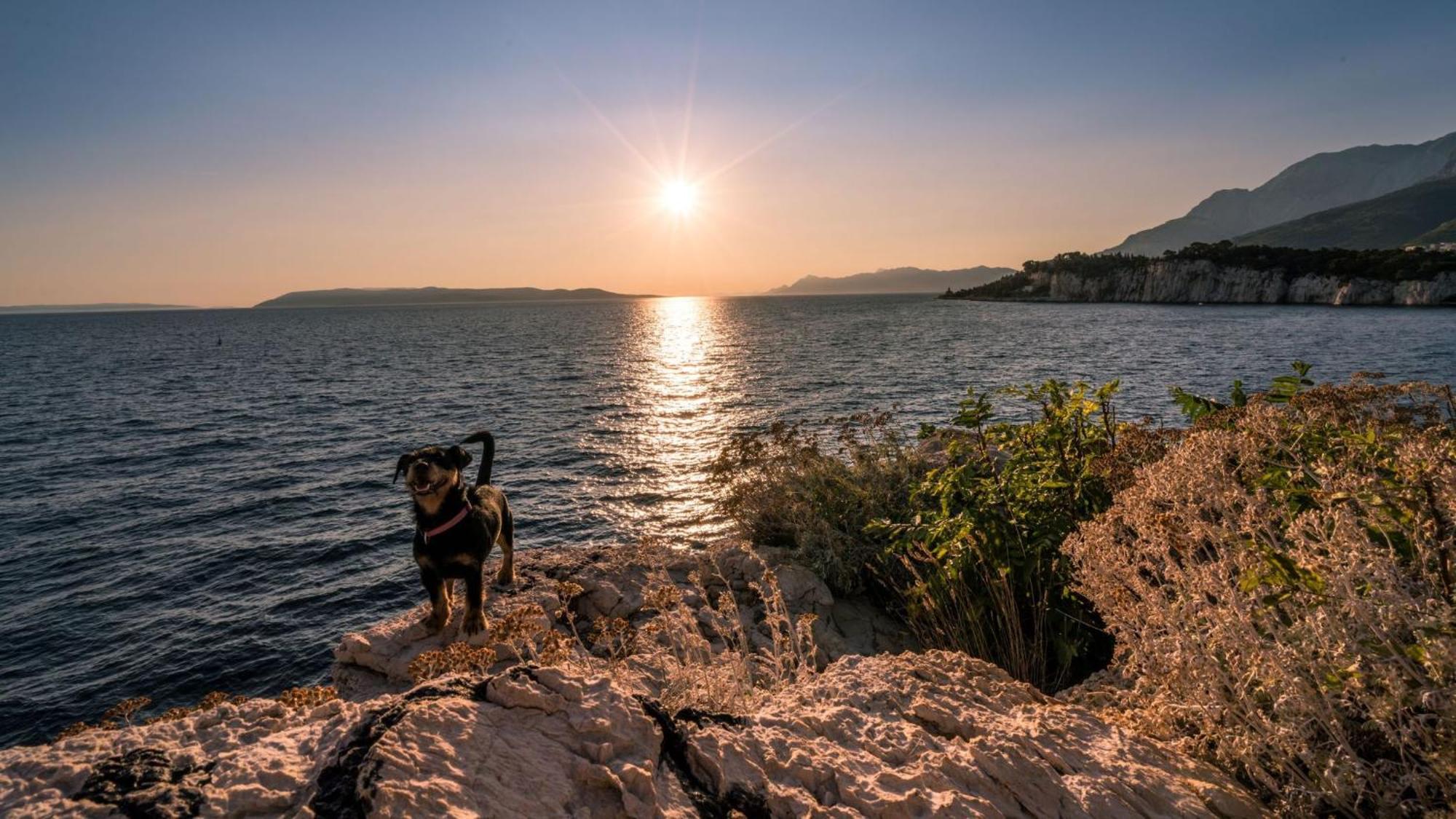 Studio Ivanda * Makarska